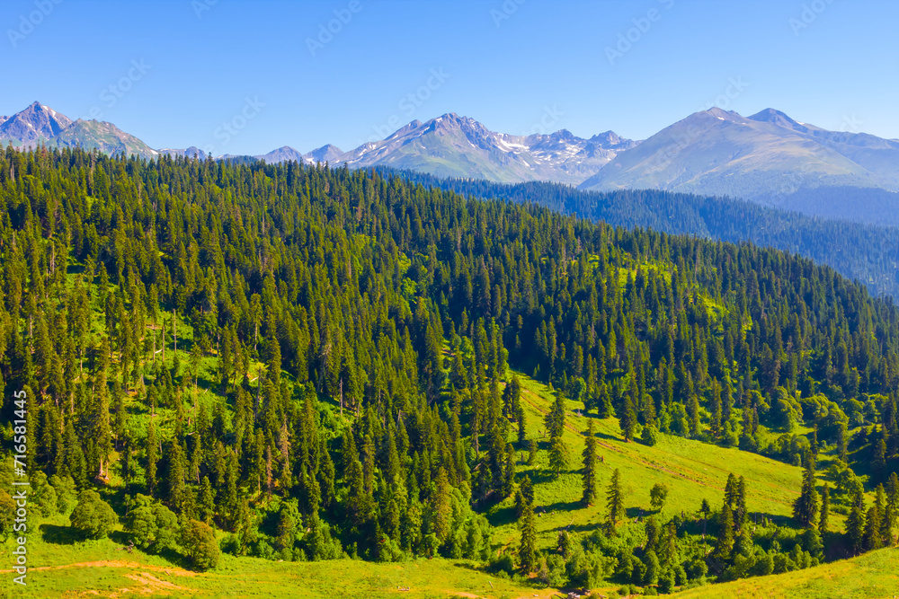 beautiful green  valley among mountain chain