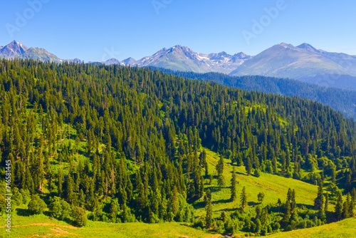 beautiful green  valley among mountain chain