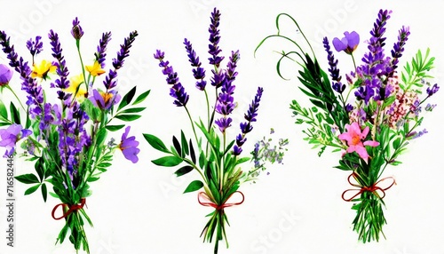 watercolor arrangements with flowers lavender bouquets with wildflowers leaves branches botanic wallpaper