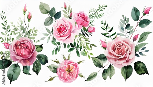 watercolor arrangements with garden roses collection pink flowers leaves branches botanic illustration isolated on white background © Lucia