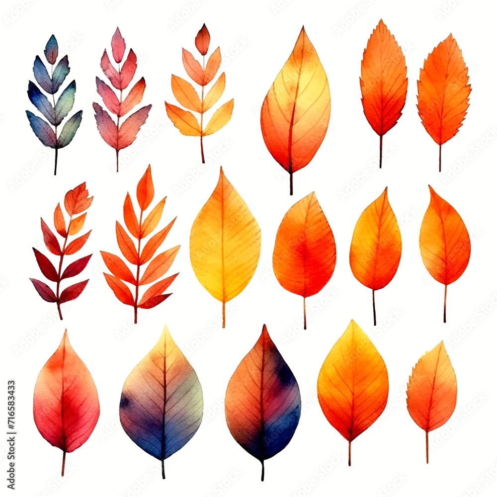 set of leaves watercolor set of leaves watercolor