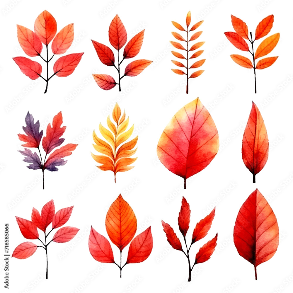 Obraz premium set of leaves watercolor