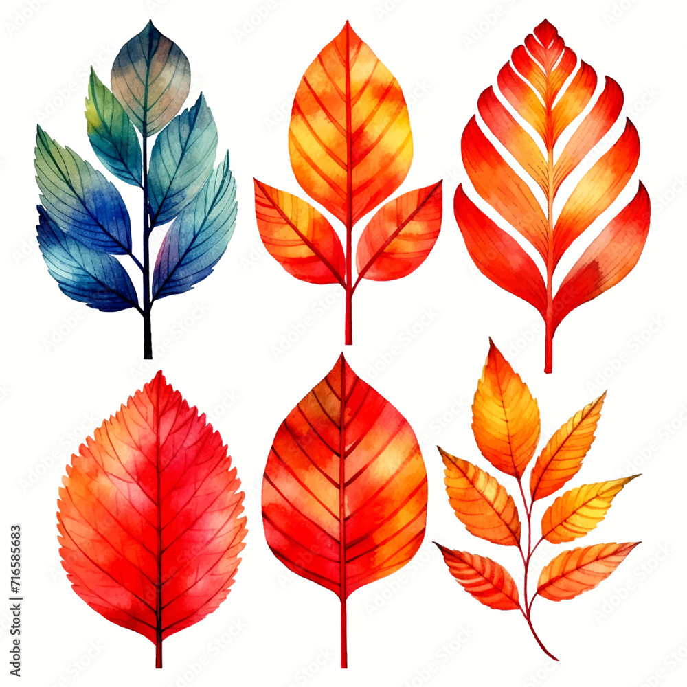 set of leaves watercolor set of leaves watercolor