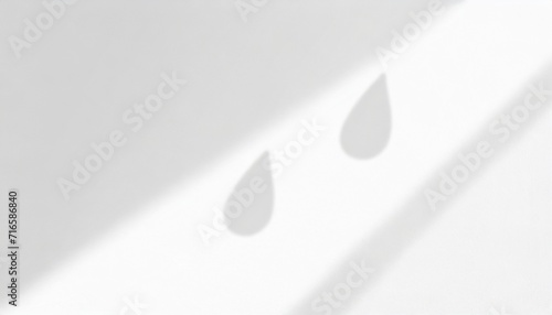 organic drop diagonal shadow on a white wall overlay effect for photo mock ups posters stationary wall art design presentation
