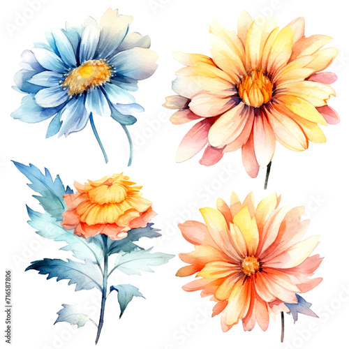 set of petals flowers watercolor