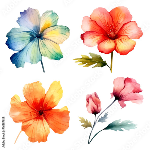 set of petals flowers watercolor