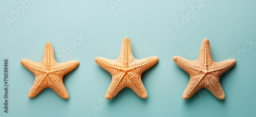 Seashell Starfish on Sandy Beach: Tranquil Blue Summer Vacation Concept.