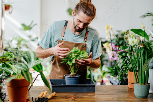Adult Caucasian man wearing uniform taking care of domestic plants, urban jungle and plant parent concept.