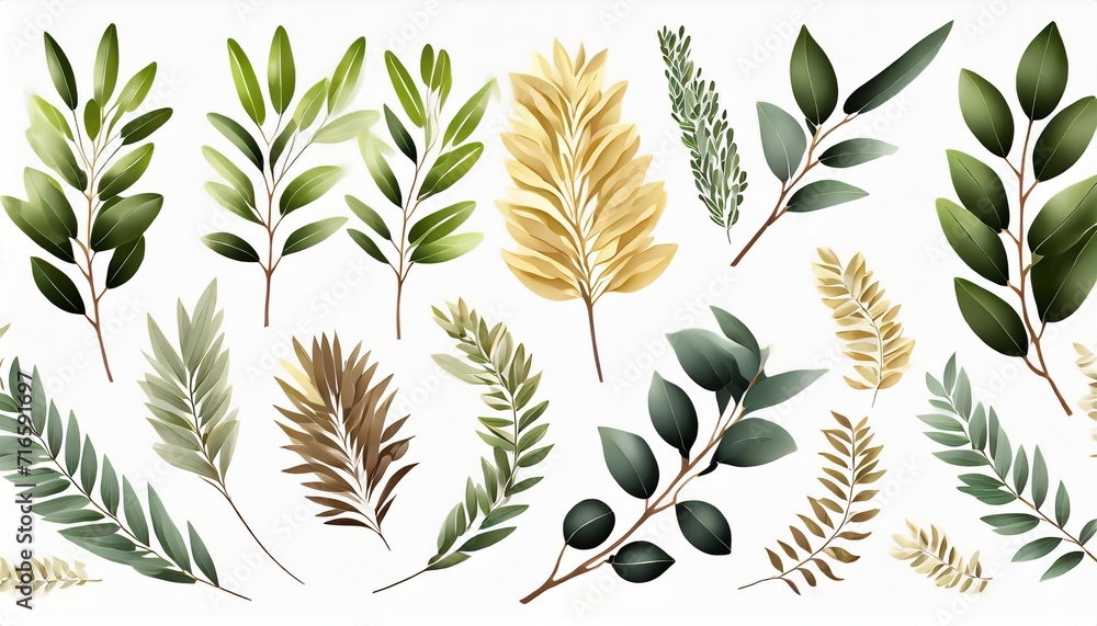 cinema film festival award nomination leaf olive branch laurel prize