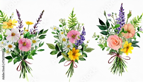 watercolor arrangements with flowers set bundle bouquets with wildflowers leaves branches botanical illustration © Marcelo