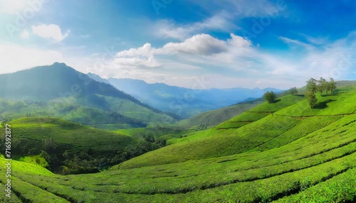 tea plantations panorama munnar india
