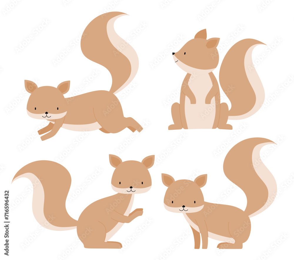 Fototapeta premium Cute squirrel set with many poses.
