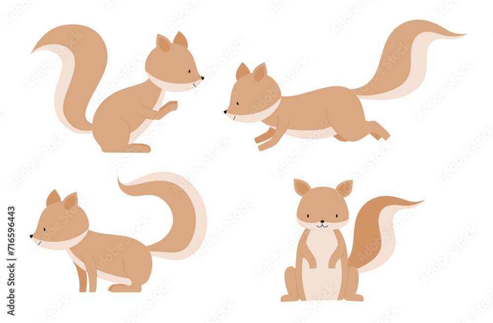 Cute squirrel set with many poses.
