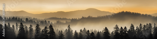 long panorama silhouettes of the autumn fog at sunset, freedom and silence of nature wild forest in sunset colors