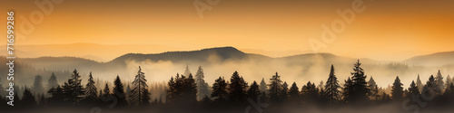 long panorama silhouettes of the autumn fog at sunset, freedom and silence of nature wild forest in sunset colors