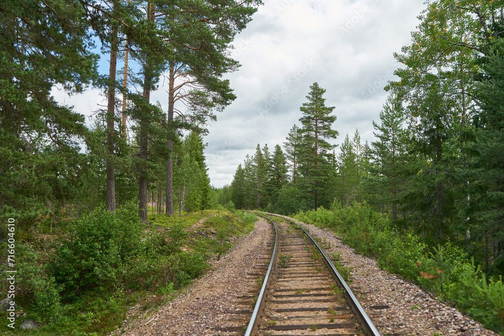 Obraz premium Railway tracks on trackbed through forest in summer