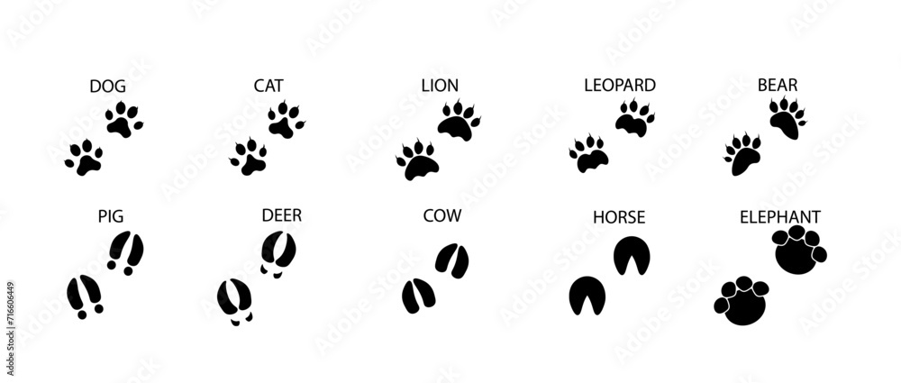 Paw print. Black vector icon. Cute pet paw silhouette. Leg of a wild animal with claws. Children's vector illustration design. Paw print. Black vector icon. Cute pet paw silhouette. Leg of a wild animal with claws. Children's vector illustration design.