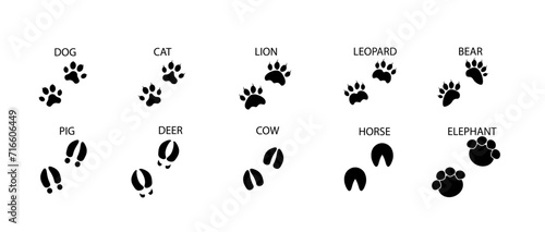 Paw print. Black vector icon. Cute pet paw silhouette. Leg of a wild animal with claws. Children's vector illustration design. photo