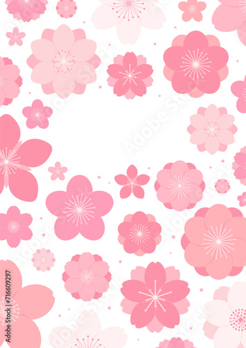Spring flowers, blossoms, blooms, floral frame. Rectangular border with copy space on transparent background. Flat style vector illustration. Abstract geometric design. Concept seasonal banner