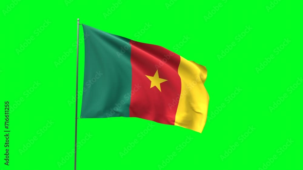 Flag of Cameroon on green background, Flag looping video Flag of Cameroon on green background, Flag looping video