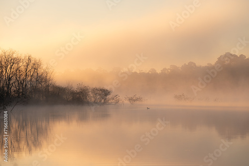 A heavy mist drifts over a pond at sunrise. © MariannePfeil