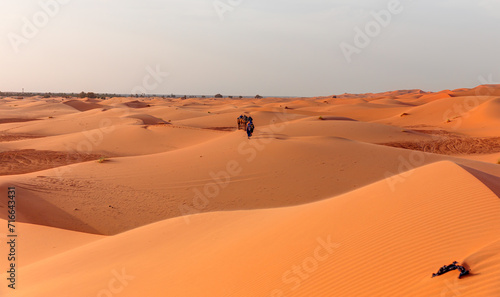 Camel caravan in the desert at sunrise -  Sahara  Morrocco