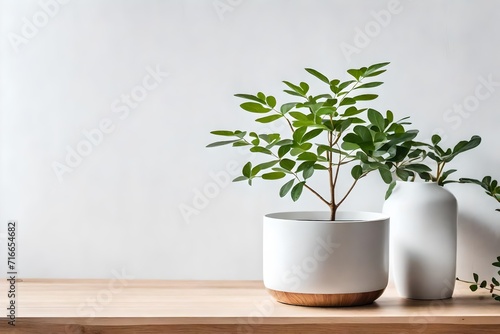 Plant on wooden table against white empty wall with copy space in living room interior. Real photo concept. Place for your furniture