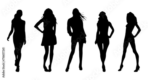 fashionable woman silhouette