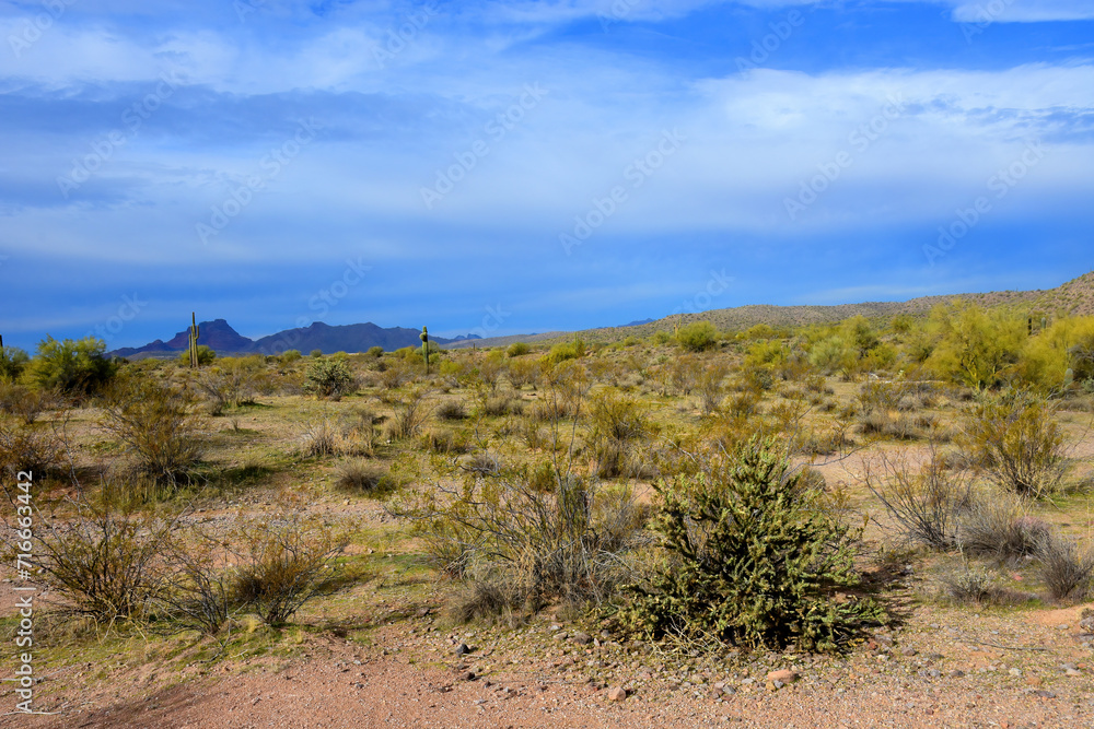 Salt River Recreation Area Arizona