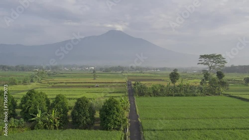 Beautiful morning view in the village with a view of rice fields and Mount Slamet in Purwokerto Banyumas Central Java Indonesia | 4K HLG flat color drone aerial footage photo