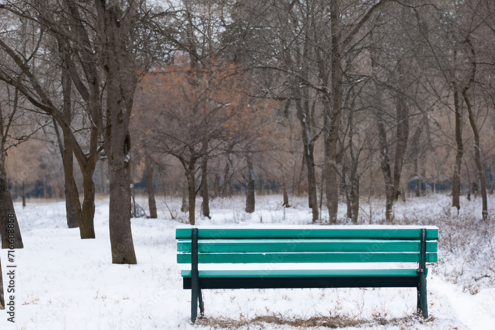 city ​​life. a beautiful blue bench stands in a winter park, a beautiful background. winter atmosphere concept