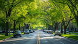 Traffic flowing smoothly on a green tree-lined urban boulevard in spring.
