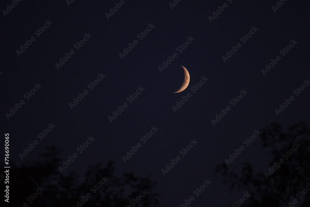Natural satellite of the earth. Young crescent moon on a clear sky at the end of the day in the summer Natural satellite of the earth. Young crescent moon on a clear sky at the end of the day in the summer