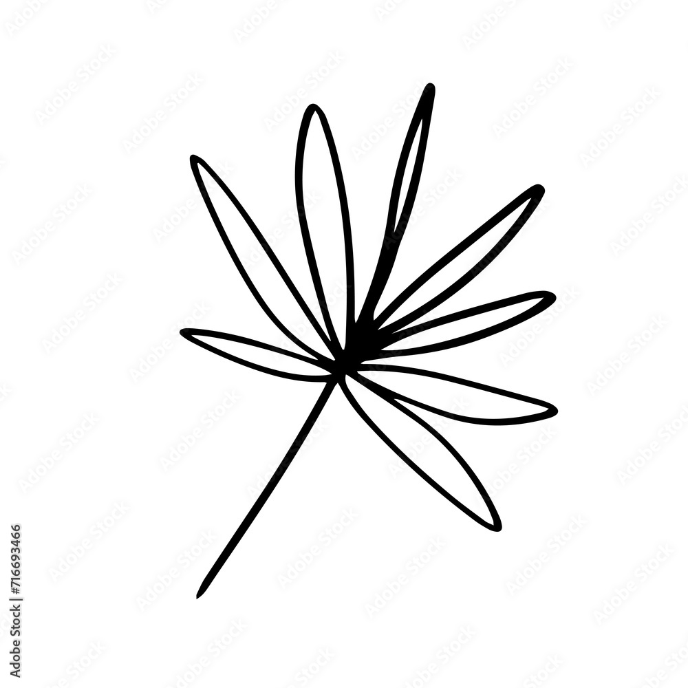 Fototapeta premium floral hand drawn element