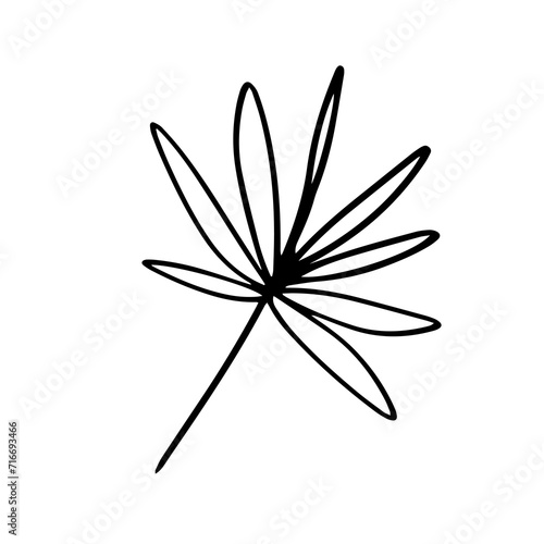 floral hand drawn element