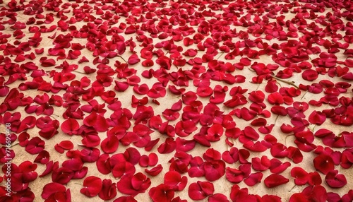  a bunch of red petals laying on top of a sheet of paper on top of a sheet of paper on top of a sheet of paper on top of paper.