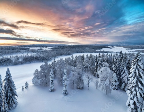 winter fairytale in the north of Sweden, swedish lapland snow covered trees Snowflakes falling  © Tamara Sushko