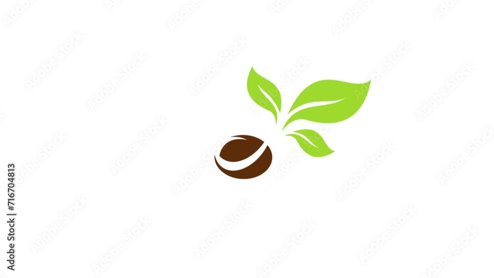 Green seedlings on the ground. Agriculture concept. life of young shoots. Seeds germinate in fertile soil. Green seedlings on the ground. Agriculture concept. life of young shoots. Seeds germinate in fertile soil.