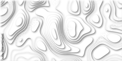 : white paper and relief wave and cruve line paper cut background. soft white color seamless pattern, vector illustration, multi layer cutout banner design. topo counter map in 3d view.