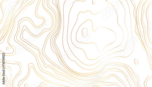 Topographic map lines background. Abstract vector illustration.