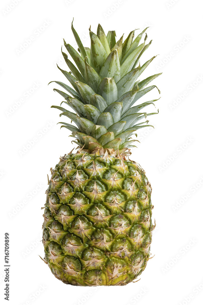 pineapple isolated on white background pineapple isolated on white background