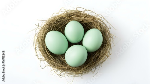 Green Easter Eggs in a Nest on a white Background with Copy Space. Top View