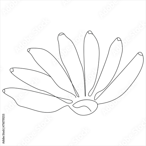  Continuous one line banana drawing out line vector illustration design