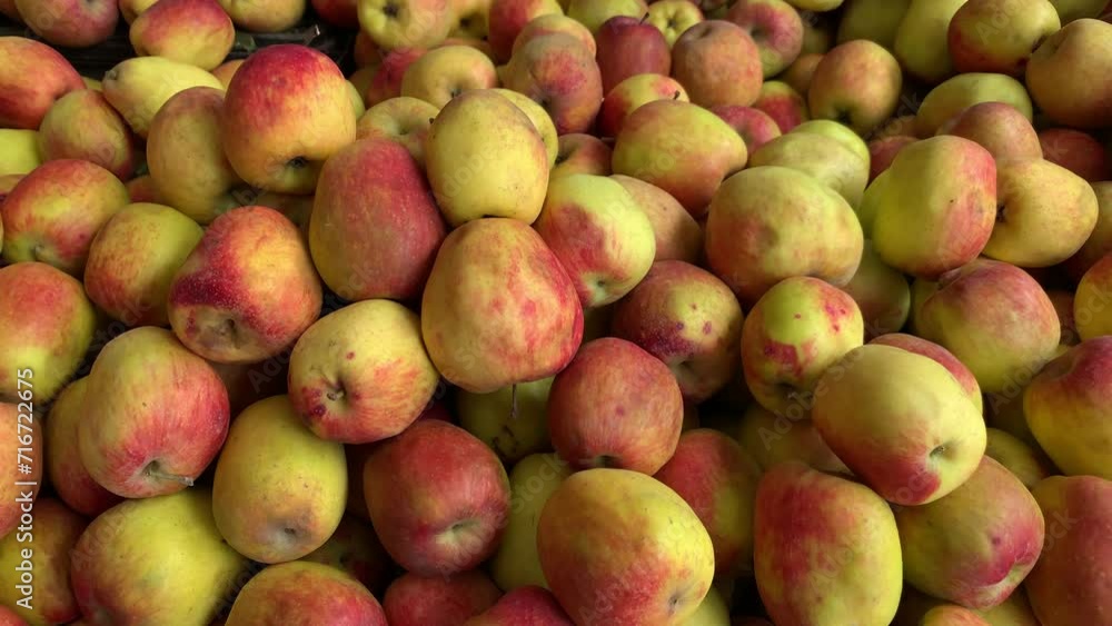 4k video of group of apples in a local market. Food and fruit concept. 4k video of group of apples in a local market. Food and fruit concept.