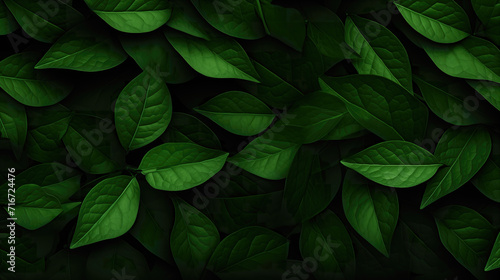 marketing inspired tropical jurassic leaves background