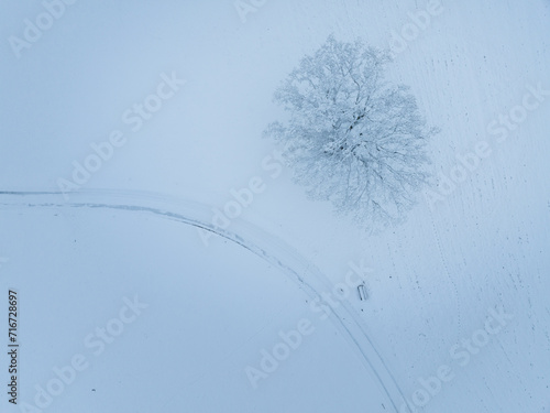Aerial view of single snow covered tree in winter.