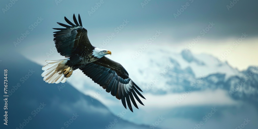 Obraz premium Eagle flying above the sky