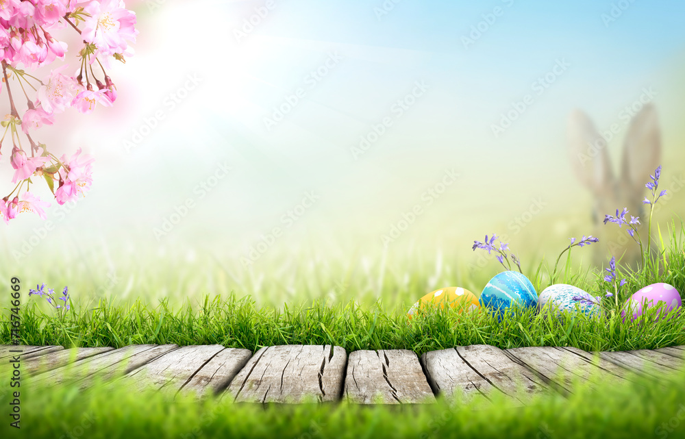 Painted easter eggs in in the grass celebrating a Happy Easter in spring with a rabbit in a distant meadow with a bright sunlight cherry blossom background & rustic wooden bench to display products.
