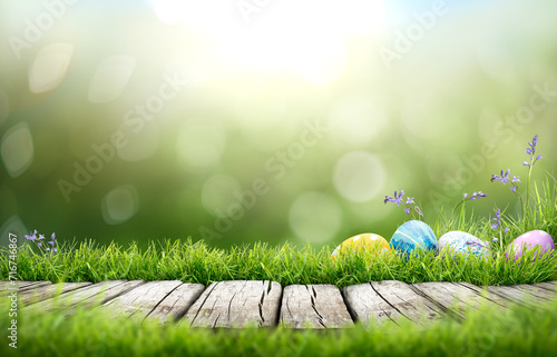 Obraz na płótnie Painted easter eggs in the grass celebrating a Happy Easter in spring with a green grass meadow and bright green sunlit background with copy space & rustic wooden bench to display products. w salonie