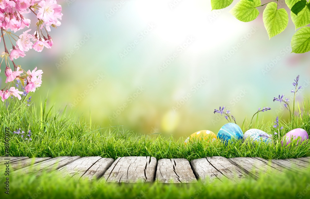 Painted easter eggs in the grass celebrating a Happy Easter in spring with a green grass meadow, cherry blossom and bright sunlight background & rustic wooden bench to display products.